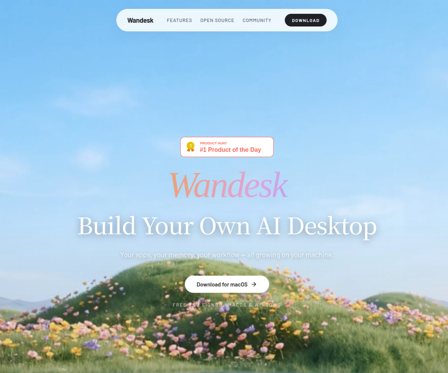 Wandesk